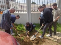 Ağaç Dikme Etkinliği gerçekleştirildi.